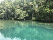 Springs